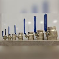 شیر گازی استیل 